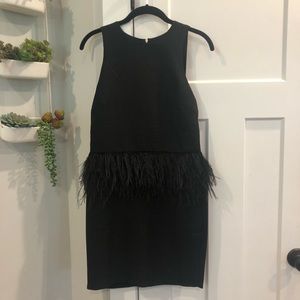 Boutique Feather Dress